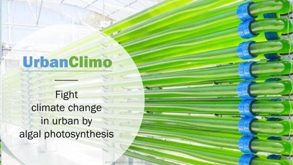 Fight climate change in urban by algal photosynthesis